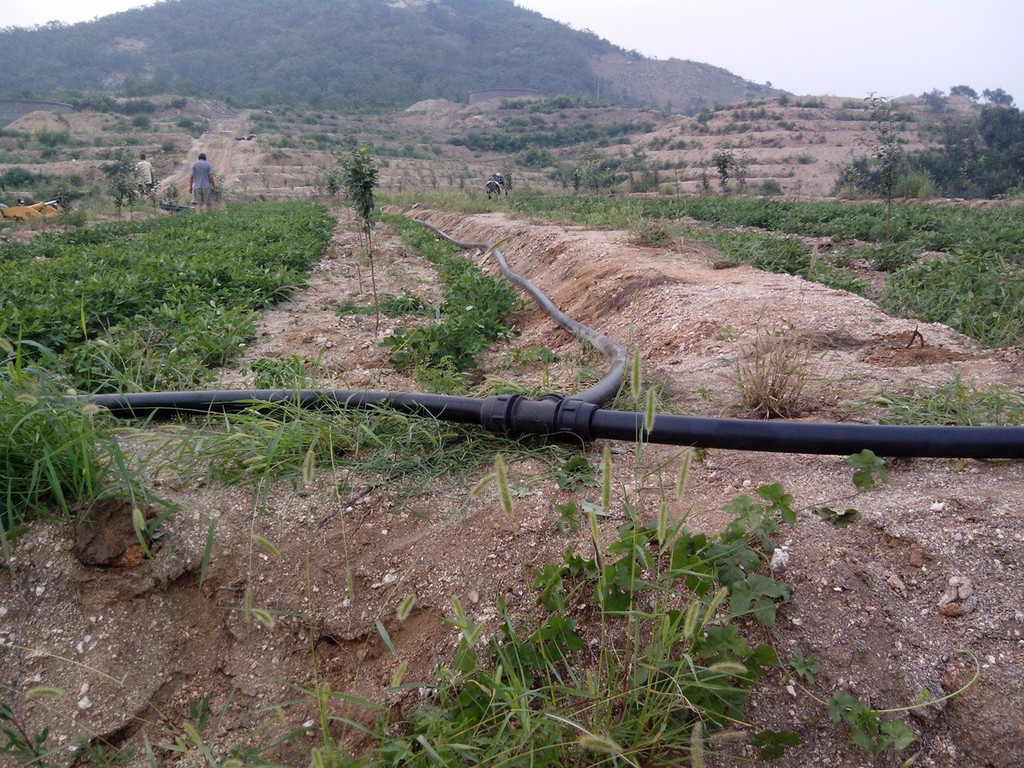 無土栽培，無土栽培技術(shù)，無土栽培設(shè)備